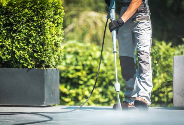 Best Restaurant Pressure Washing  in , WA