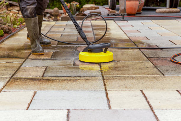 Best Building Exterior Washing  in , WA